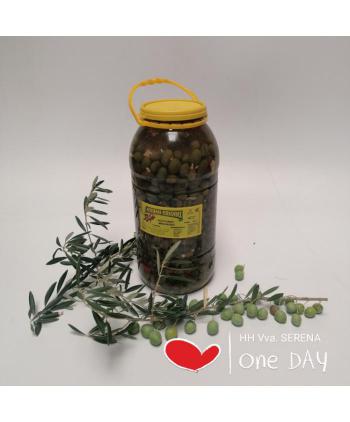 ACEITUNAS MACHADAS 4 KG