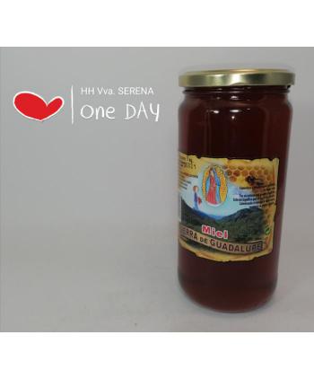 MIEL MIL FLORES SIERRA DE GUADALUPE 1 Kg