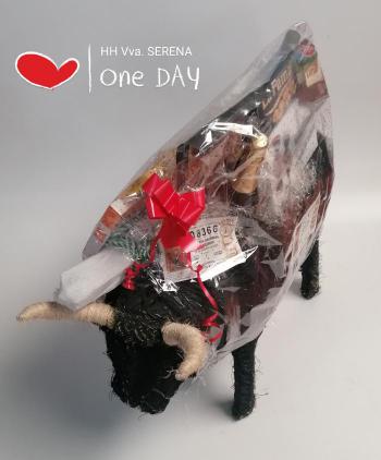 TORO CAMPERO 1 Ud